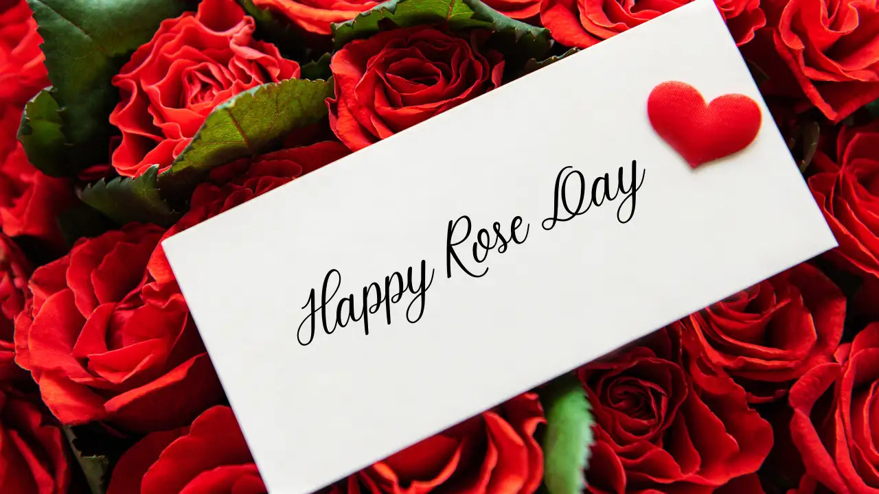 Rose Day 2026: Best Rose Day Wishes